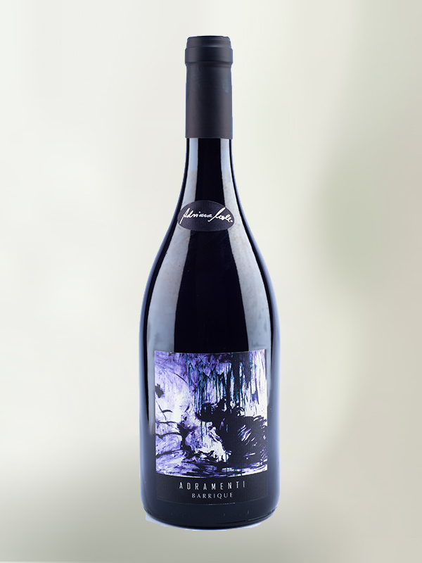 Adriane Moll Adramenti 2014